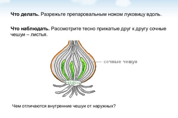 Кракен дарк оригинал ссылка