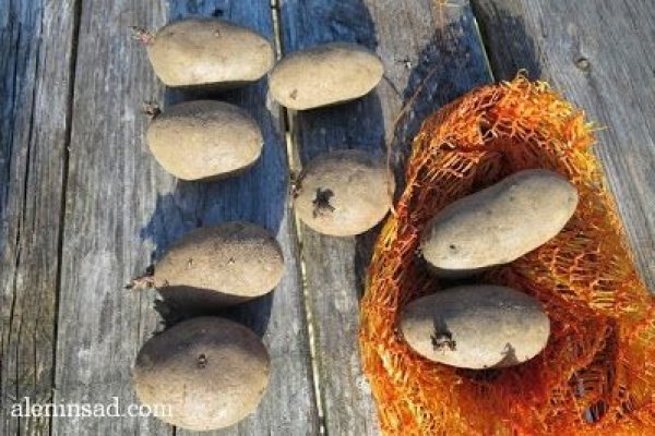 Официальный сайт даркнет