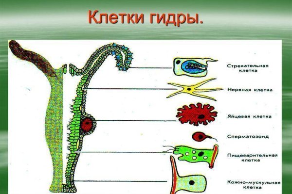 Кракен сайт 18