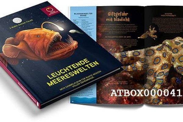 Кракен через впн