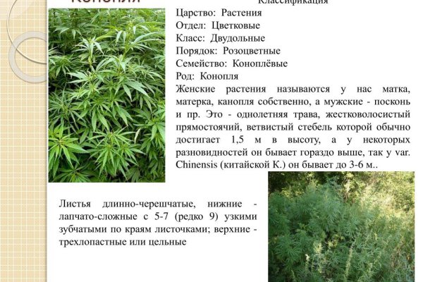 Аутентификатор кракен