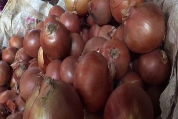 Ссылка на кракен тор kr2web in