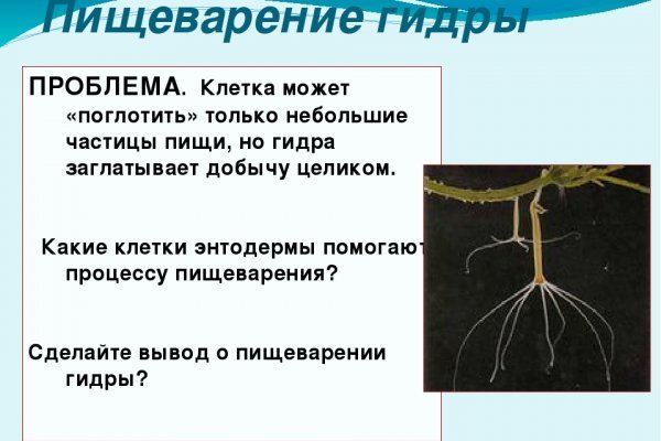 Как найти настоящую кракен даркнет ссылку