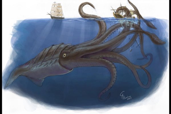 2kr pro kraken