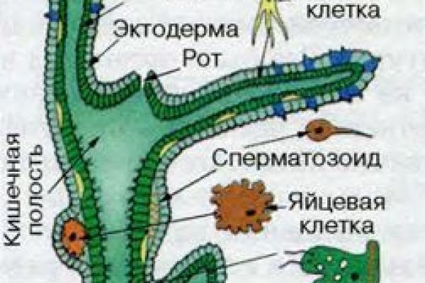 Кракен ссылка настоящая